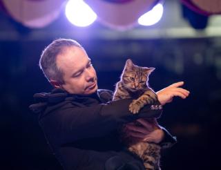 Бездомная кошка из подвалов Донбасса попала на театральную сцену Москвы